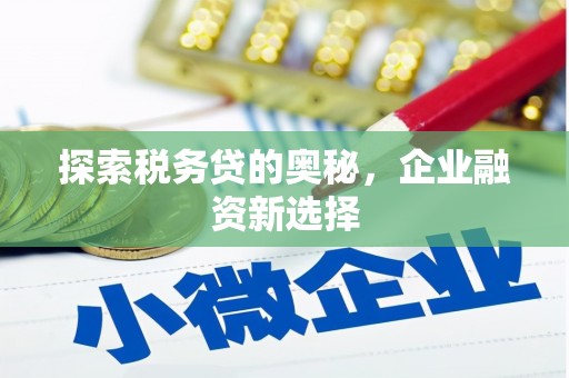 惠山探索税务贷的奥秘，企业融资新选择