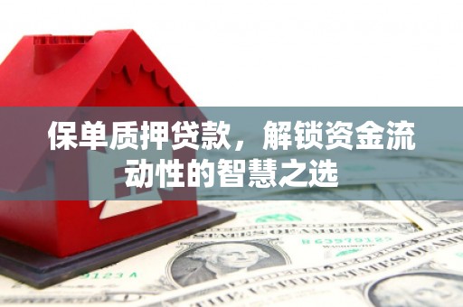 惠山保单质押贷款，解锁资金流动性的智慧之选