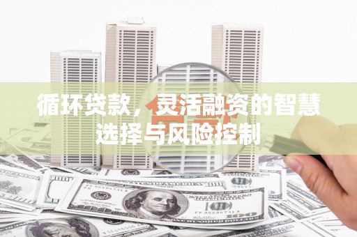 惠山循环贷款，灵活融资的智慧选择与风险控制