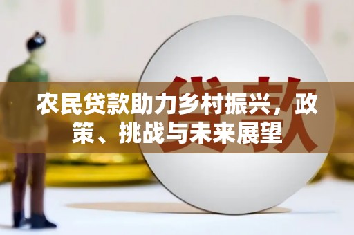 惠山农民贷款助力乡村振兴，政策、挑战与未来展望
