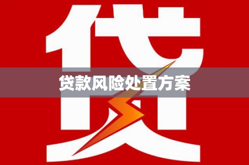 惠山贷款风险处置方案