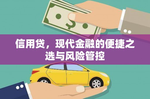惠山信用贷，现代金融的便捷之选与风险管控