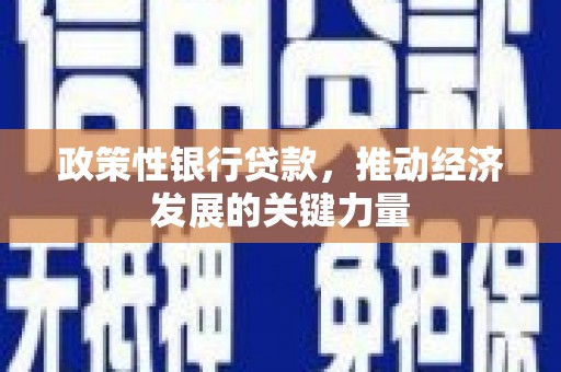 惠山政策性银行贷款，推动经济发展的关键力量