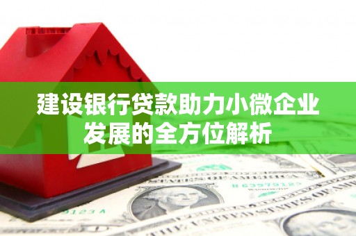 惠山建设银行贷款助力小微企业发展的全方位解析