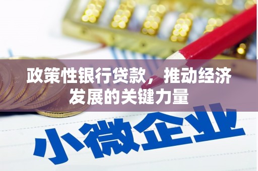 惠山政策性银行贷款，推动经济发展的关键力量