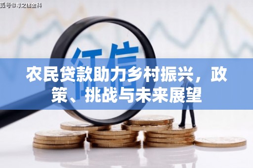 惠山农民贷款助力乡村振兴，政策、挑战与未来展望