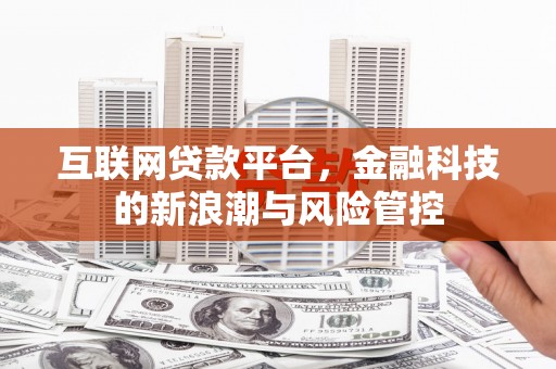 惠山互联网贷款平台，金融科技的新浪潮与风险管控