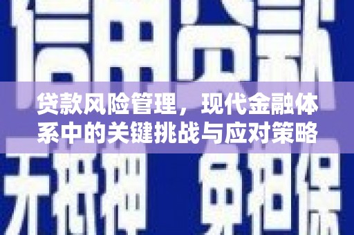 惠山贷款风险管理，现代金融体系中的关键挑战与应对策略