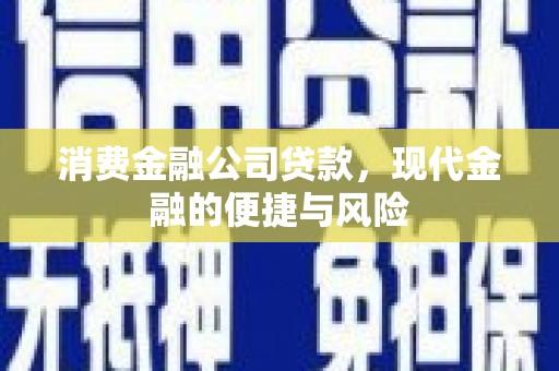 惠山消费金融公司贷款，现代金融的便捷与风险
