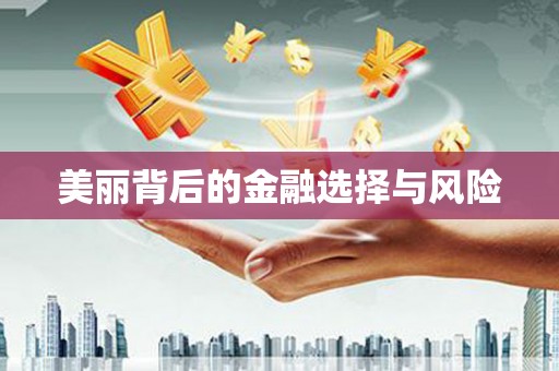 惠山美丽背后的金融选择与风险