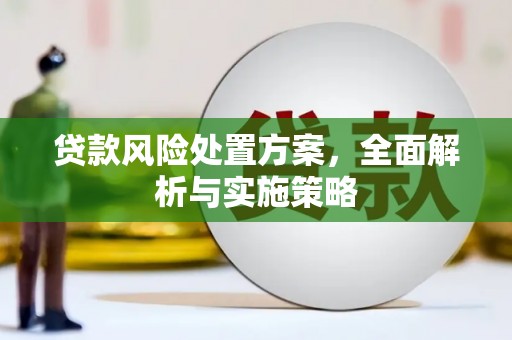 惠山贷款风险处置方案，全面解析与实施策略