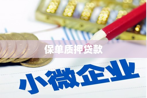 惠山保单质押贷款