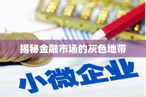 惠山揭秘金融市场的灰色地带