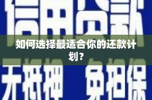 惠山如何选择最适合你的还款计划？