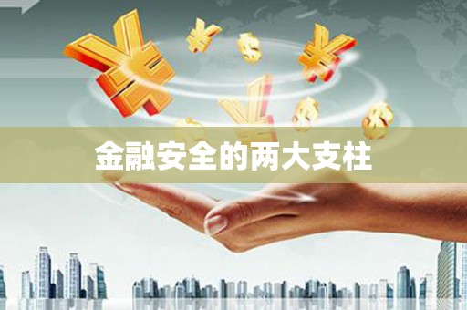 惠山金融安全的两大支柱