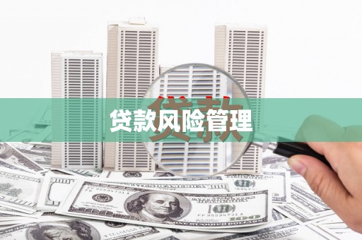 惠山贷款风险管理