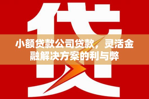 惠山小额贷款公司贷款，灵活金融解决方案的利与弊