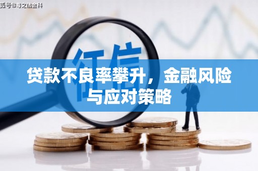 惠山贷款不良率攀升，金融风险与应对策略